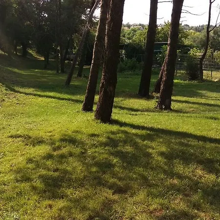 Ribarska Kuca Romana Premantura