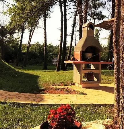 Ribarska Kuca Romana Holiday home